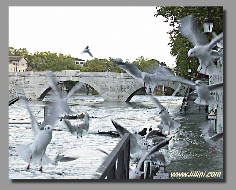 ALONG THE TIBER
