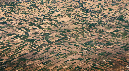 1409